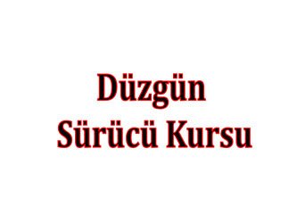 Düzgün Sürücü Kursu